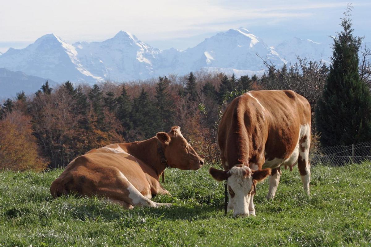 Mountain Home - ein Aufenthalt mit Weitblick Niedermuhlern Exterior foto